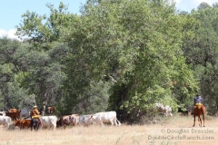 Teambuilding Vacation Cattle Drive