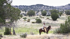 Cowboy on Horseback by Fence