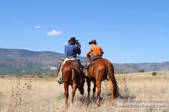 Father and Son Horseback Ride