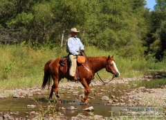 Cowboy Karl at a Stream Crossing