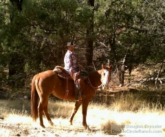 Riding Horseback