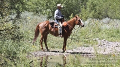 Karl on Horseback by Eagle Creek