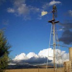 Windmills pump water to tanks in remote pastures