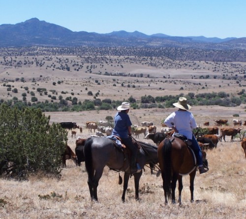 Wide Open Spaces on the Dude Ranch