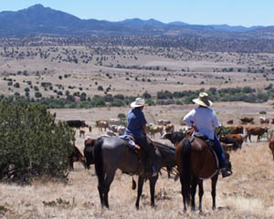 Wide Open Spaces on the Dude Ranch