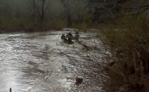 Cowboy on Horse Crossing Flooded Eagle Creek