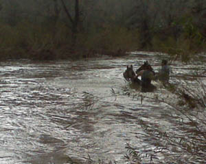 Cowboy on Horse Crossing Flooded Eagle Creek