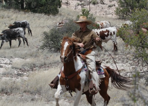 Cattle Herding Photography Workshop