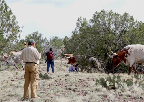 Tom Whetten Western Cattle Ranch Photo Workshop