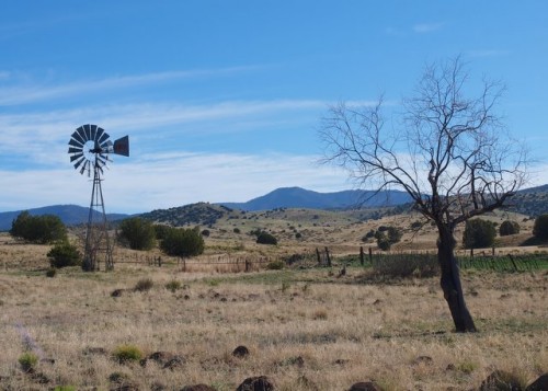 Ranch Scene by Carol Wien