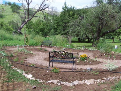 Butterfly Garden - Completed