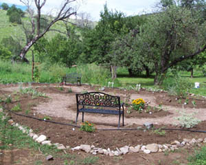 Butterfly Garden - Completed