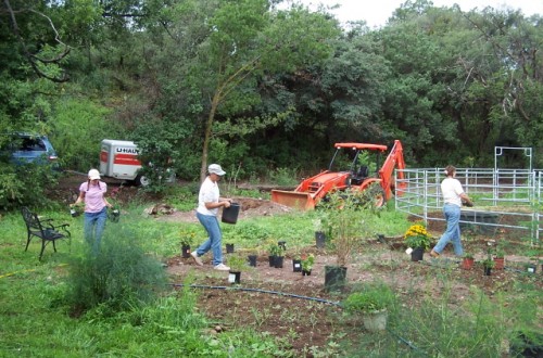 Butterfly Garden During Construction