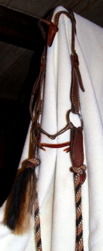 Snaffle Bridle with Horsehair Mecate