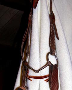 Snaffle Bridle with Horsehair Mecate