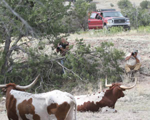 Photographing Longhorn Steers on a Western Cattle Ranch