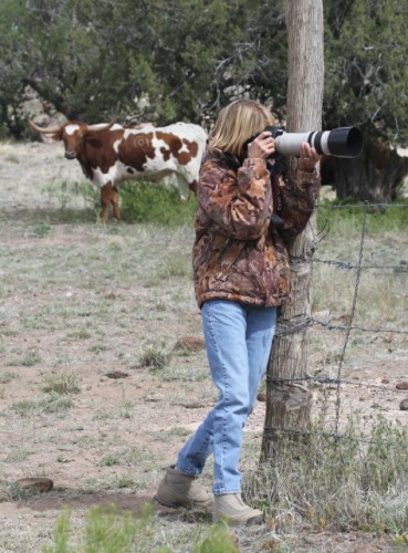 Western Cattle Ranch Photo Workshop