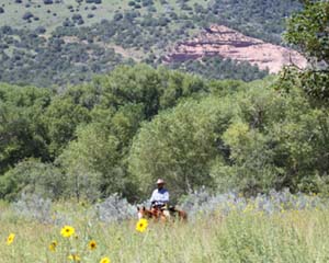 Cowboy Karl Riding Prairie and Thickets