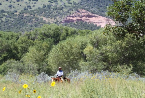 Cowboy Karl Riding Through Prairie and Thickets