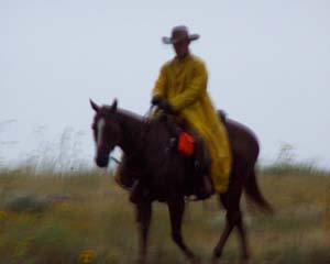 Karl Riding Horse In Rain