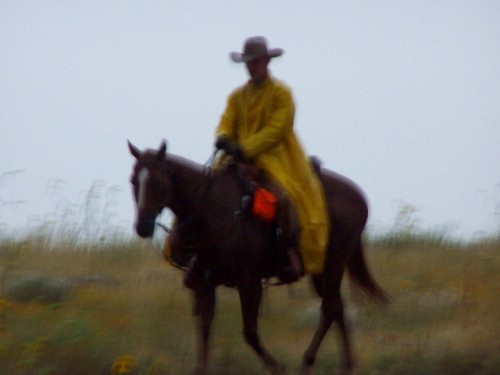 Karl Riding Horse In Rain