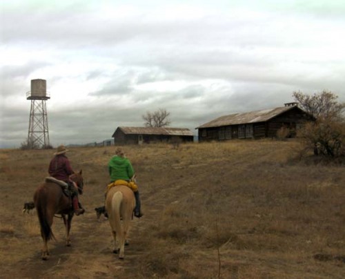 Horseback Sightseeing Ride