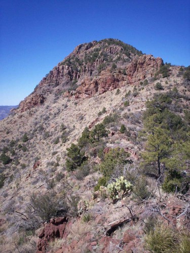 Gray's Peak