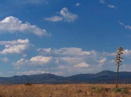 Monsoon Clouds - Our Summer Rainy Season is Close