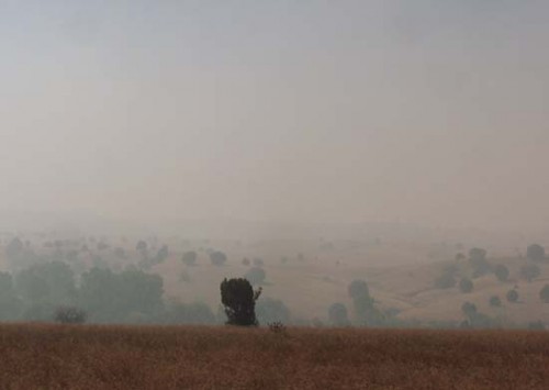 Wallow Fire Smoke in the Morning June 9, 2011