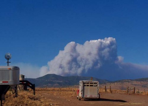 Wallow Fire South Perimeter Containment