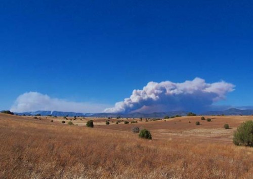 Wallow Fire to the North Billowing Smoke June 7