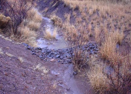 Stream Erosion Control Structure at Work