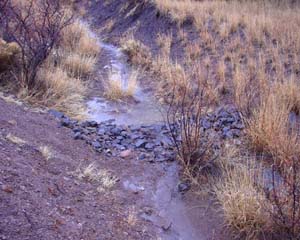 Stream Erosion Control Structure at Work