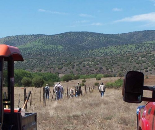 Antelope Habitat Improvement Fence Workshop