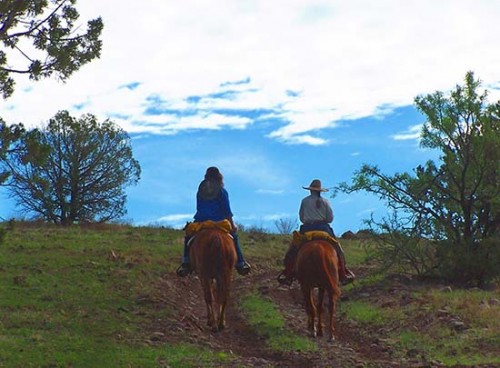 Cowgirls Headin' Out On Horseback