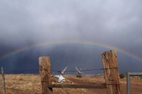 Summer Monsoons Will Bring Needed Rain to the Ranch