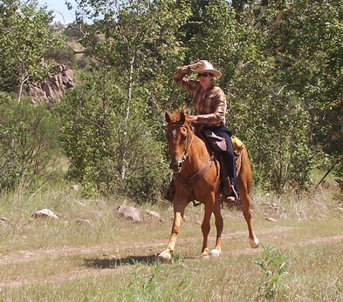 Cowgirl Stacey Canters Ranch Horse Brumby