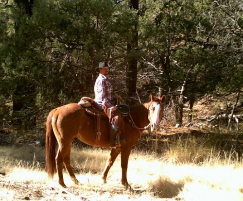 Riding Fence in the Tall Pines