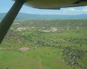 Looking for Stray Cattle from the Air